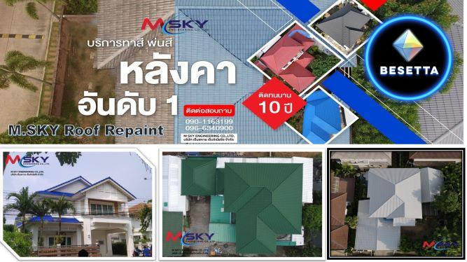 บริการทาสีหลังคา พ่นสีหลังคา อันดับ1 M Sky Roof Repaint 